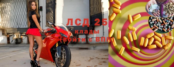 ECSTASY Алзамай