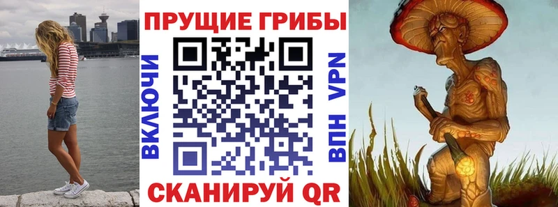 Купить  Сарапул  Псилоцибиновые грибы ЛСД 